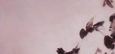 fairytale,washedoutcolors,yourethemoon,art,photography,photoshop-804b38a1b67daf59439ab1980459be93_h